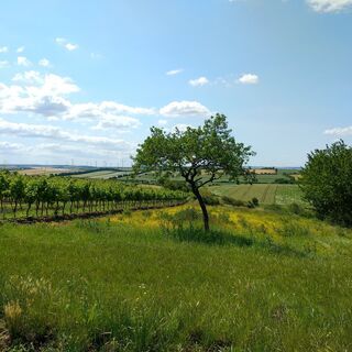 Ehret den Sock-Wanderweg