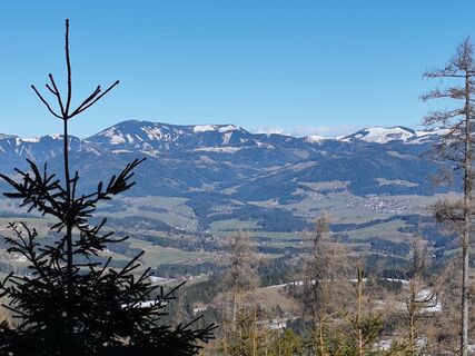 Foto von Sabine Kriebernegg entlang der Tour