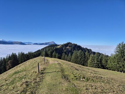 Photo de Markus Christen le long du parcours