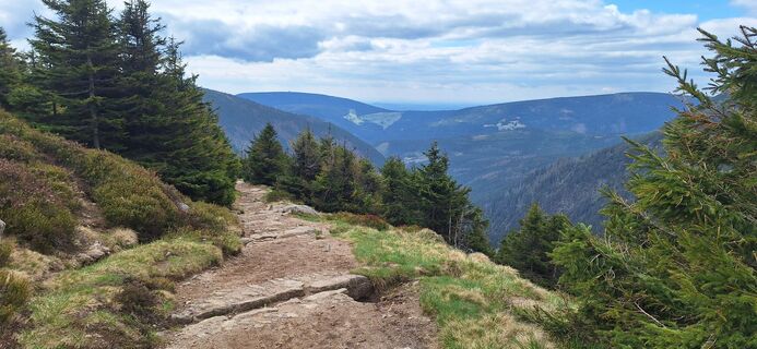 Fotografia z Hallunke Frank na trase