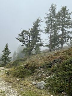 Fotó a Christian Prandl honlapról a túra során