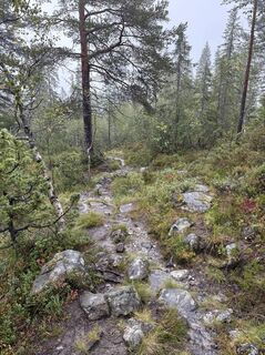 Foto fra Jako Koel undervejs på turen