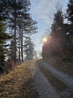 Foto von Markus Ortner entlang der Tour