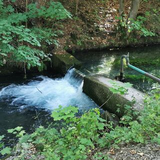 Baulauf Almequellen brinlon an der Sauerland-Waldroute
