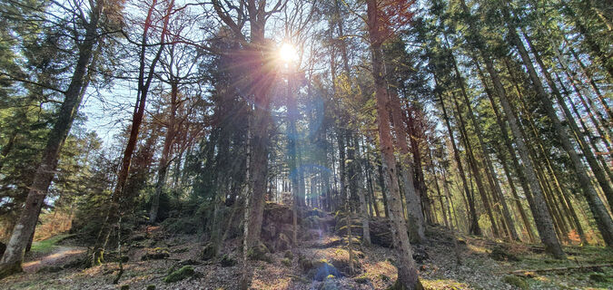 Eindrücke vom Rundweg