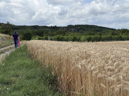 Photo de Anca Dolete le long du parcours