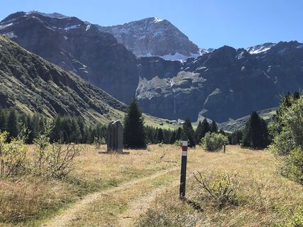 Mit Blick zum Wisshorn