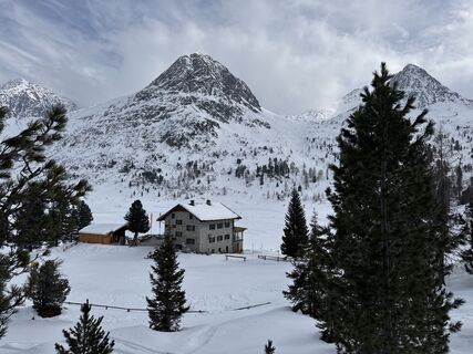 Foto von Grizzli entlang der Tour