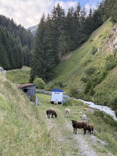 Foto von Asseneta entlang der Tour