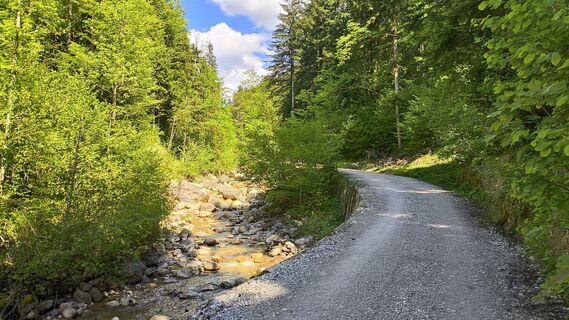 Photo de WilliSt le long du parcours