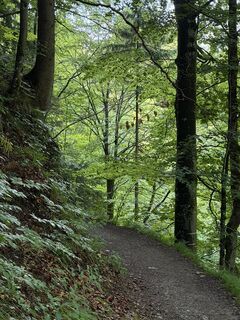 Foto von Babs Holz entlang der Tour