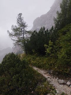 Foto de Iris Köstinger a lo largo del recorrido