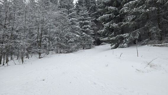 Foto von Katja Senkel entlang der Tour
