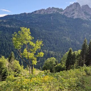 Abfahrtsstrecke, im Hintergrund die "Pesarine", eine Bergkette, die das obere Degano-Tal vom Pesarina-Tal trennt