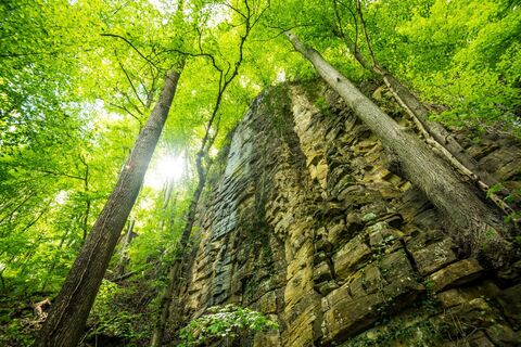 Beeindruckende Felswand in der Wolfsschlucht am Felsenweg 3