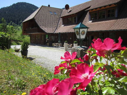 Campingplatz Trendcamping Wolfach