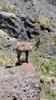 Foto från Sun under resans gång