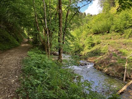 Photo de soan le long du parcours
