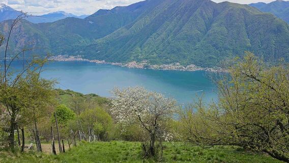 Fotografie z Piero Pozzi na trase