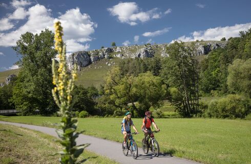 Bei Eilsbrunn mit gelbem Felsen im Hintergrund
