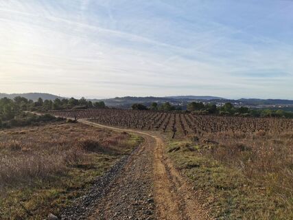 Aiguesvives-Cessiere (3)