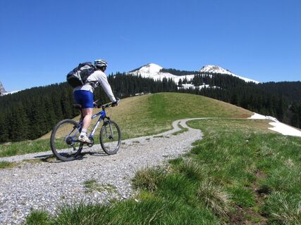 Hinauf zur Dürrieglalm