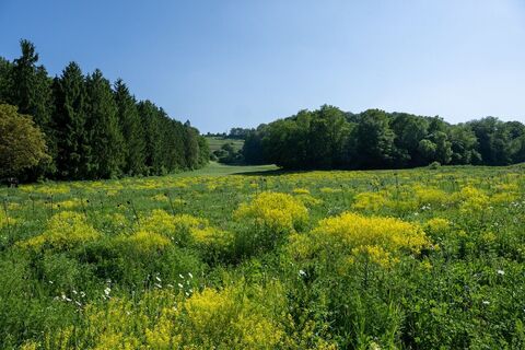 Fahrt durch das Langetal zwischen Alschbach und Biesingen