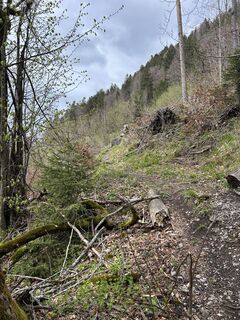Fotografija s spletne strani Marvin Wesser na poti
