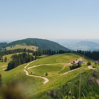 Blick auf die Alpe Gund