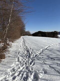 Fotografia z Reinhard Frewein na trase