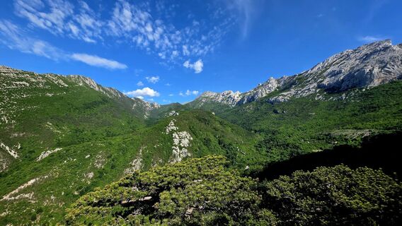 Fotografija s spletne strani Danijel Sorola na poti