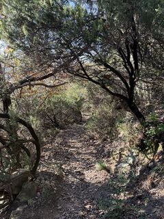 Fotografie z Vincenzo Cascio na trase