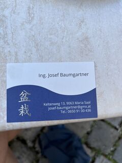 Foto från Johannaho under resans gång
