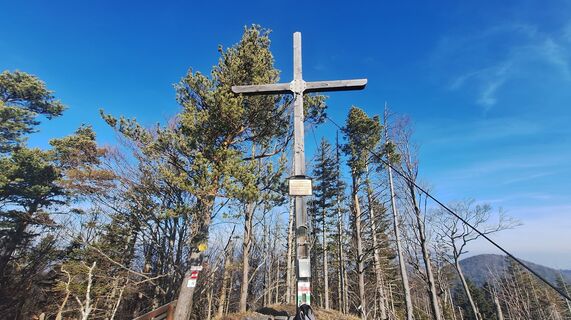 Foto von Regina Fleischmann entlang der Tour
