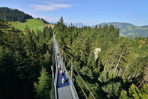 Hängebrücke "Skywalk
