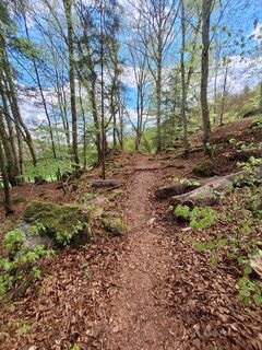 Photo de Hermann E. le long du parcours