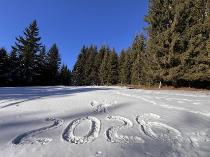 Photo de martina hornik le long du parcours