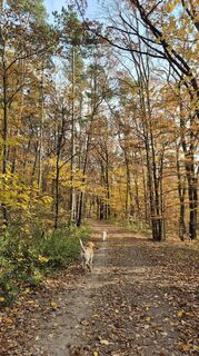 Photo from Claudia Maurer along the tour