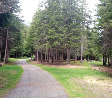 Insel Pinewood Park