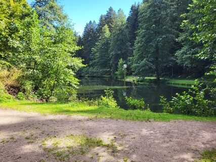 Photo de yolanda beck le long du parcours