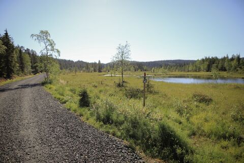 Der Kivilampi-Trail führt entlang des Rytilampi-Weihers in Ruka, Kuusamo