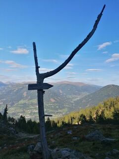 Photo de Dagmar Hofer le long du parcours