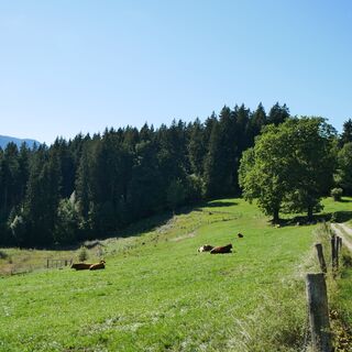 Wanderweg Wetzsteinrücken