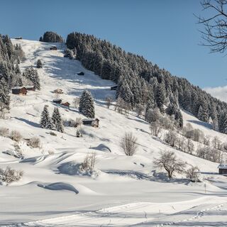 Waltensburger Runde ab Breil-vitg Winterwanderung Landschaft