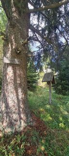 Foto von Martina Oitzinger entlang der Tour