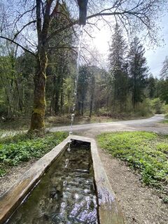 Foto fra Sven Krieblin underveis på turen