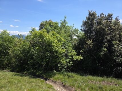 Photo de Werner Pink 1 le long du parcours