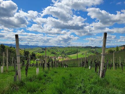 Fotografia z Juliane Jarke na trase