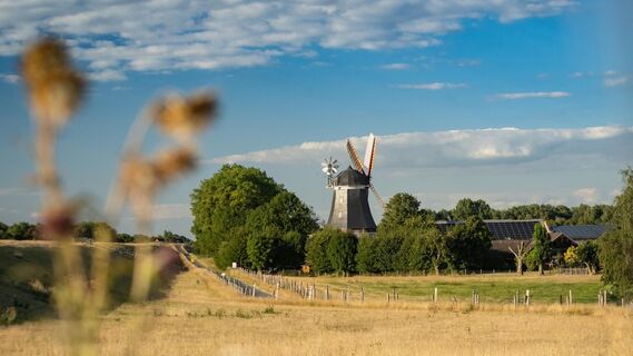 Windmühle am Weserdeich