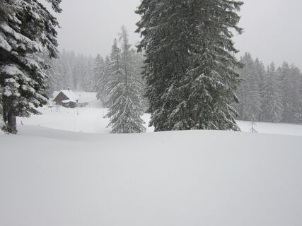 Rossmoos Runde in Bad Goisern am Hallstättersee